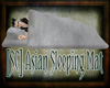 [SC] Asian Sleeping Mat