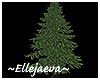 Pine Tree Gold Lights