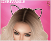 :: Kitty Ears