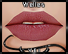 v. Welles: Blush OL