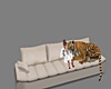 Love Tiger MyCouch