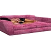 Pink Furr Couch