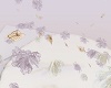 ephemera lavender