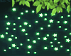 Glowing Neon Stars