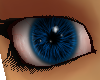 Colorful Cerulean Eyes