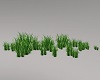 Large Patch Tall Grass