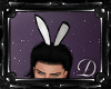 .:D:.Bunny Ears