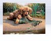 Cute Puppy Poster