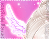 Cupid Wings F ❤️