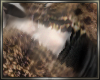 !!★Luxe fur -Coat