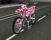 Bape Dirt Bike