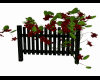 Fence black red flowers