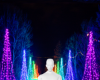 Christmas lights bg