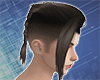 hair on the centipede