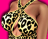❯❯ Leopard Dress