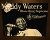 Muddy Waters Poster