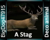 [BD] A Stag