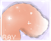 [Tail] Cute Flower