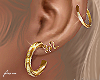 gold hoop earrings