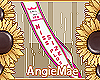 AM* 1ra MissPluss