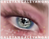 A | My eyes