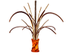Africa Twig Plant