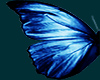 m28 Papillon bleu