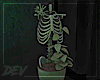 !D Skeleton Plants