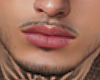 Favela Beard