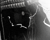 ヌ 2004