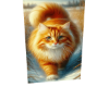 T, Cat Lovers 20