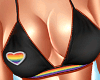 Rainbow Pride Set