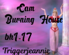 Cam-Burning House