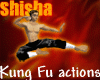 Kung fu actions