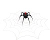 HALLOWEEN SPIDER/WEB
