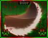 .:*D*:.CometTail