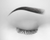 Eyebrow
