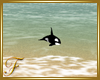 F: Orca