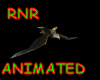 ~RnR~FLYING EAGLE RIDE