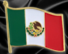 Mexico Pin