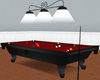 Pool Table w/Poses