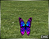 !T! Picnic Butterfly