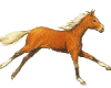 (KD) animated horse