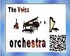 orchestra The Voice