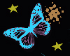 Q_Butterflies and Stars