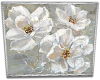 Frame White Flower