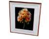 Flowers in White Frame