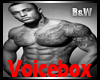 New voice box M