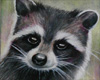 3d Raccoon Painting