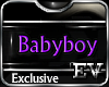 EV Babyboy Collar
